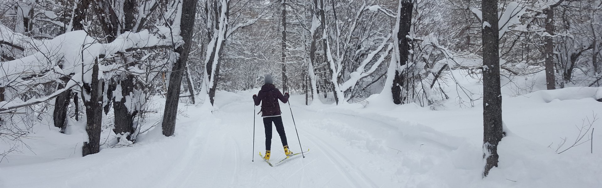 ski de fond et paysage en hiver dans les Alpes du sud