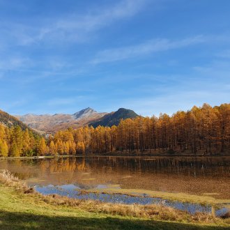 paysages vallée du Queyras dans les Hautes-Alpes
