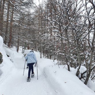 randonnée raquette et paysage en hiver dans les Alpes du sud