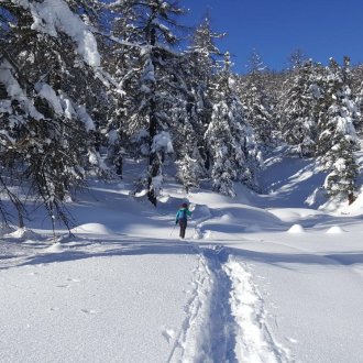 randonnée raquette et paysage en hiver dans les Alpes du sud