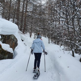 randonnée raquette et paysage en hiver dans les Alpes du sud