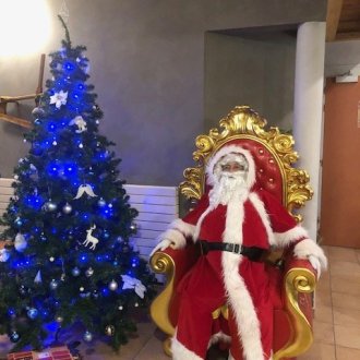 Arbres de noel dans les alpes du sud