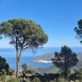 loic chetout séjour estartit 12 au 18 avril 2026