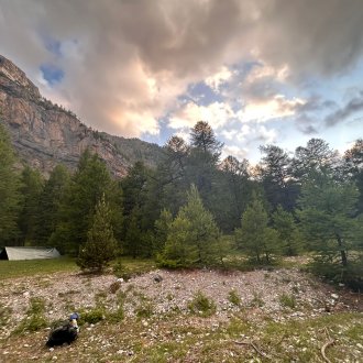 Stage Immersion Classique à la survie dans les Alpes du Sud