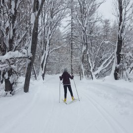 ski de fond et paysage en hiver dans les Alpes du sud
